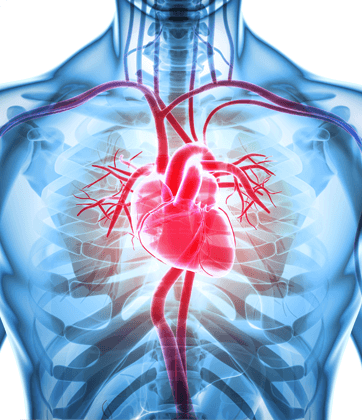Advanced Cardiology Associates Advanced Cardiology Associates - Cardiac Surgeries & Procedures
